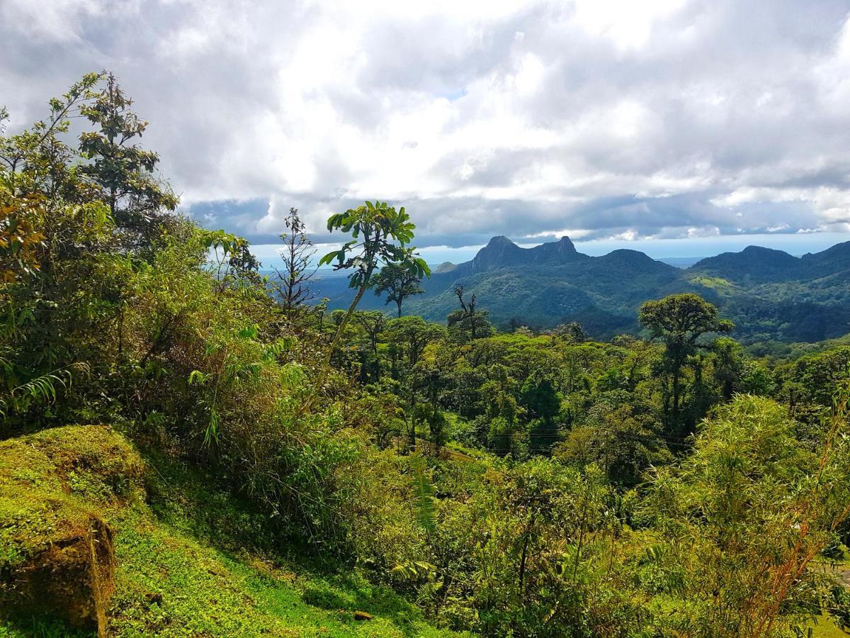 Tower Studio In The Treetops In Altos Del Maria Panama El Picacho Экстерьер фото