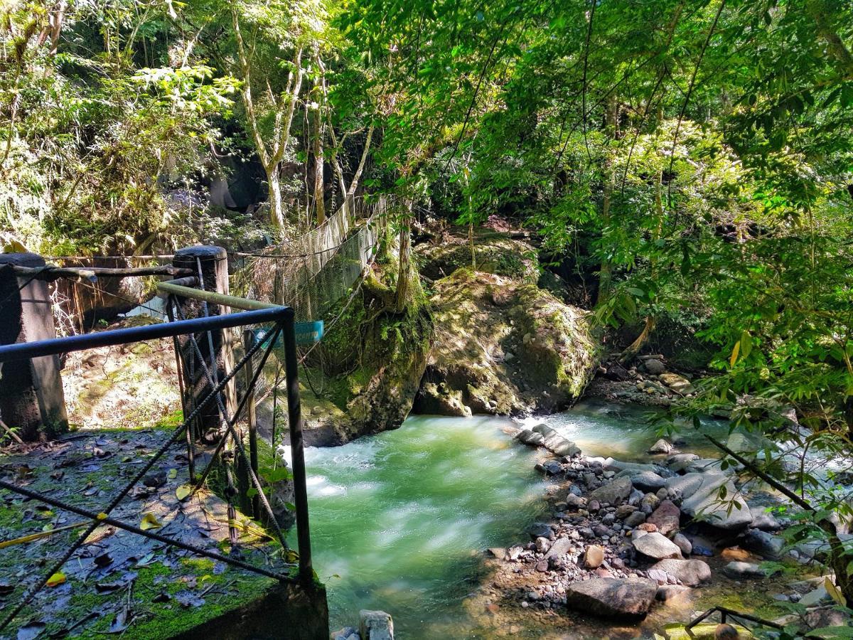 Tower Studio In The Treetops In Altos Del Maria Panama El Picacho Экстерьер фото